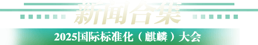 新闻合集